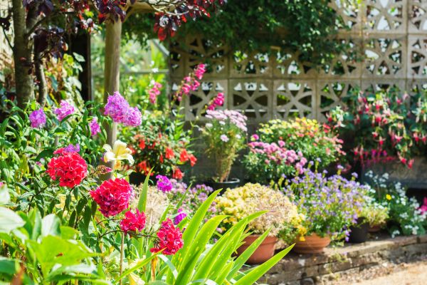 Spring Garden Maintenance in Cape Coral