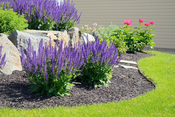 Landscape Planting Service in Cape Coral