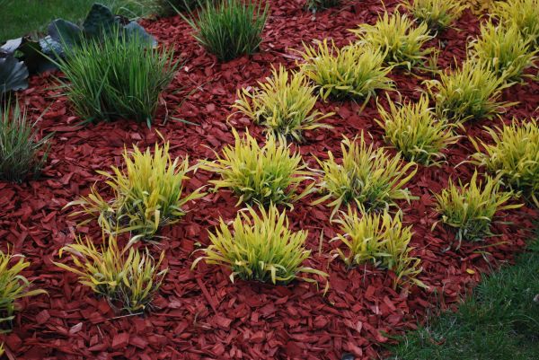 Red Mulch Installation in Cape Coral
