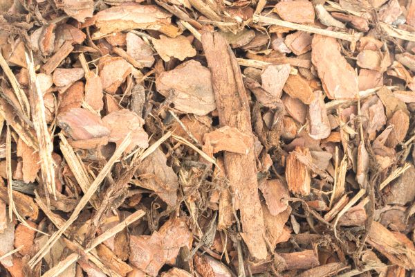 Bark Mulch Installation in Cape Coral