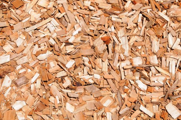 Cypress Mulch Spreading in Cape Coral