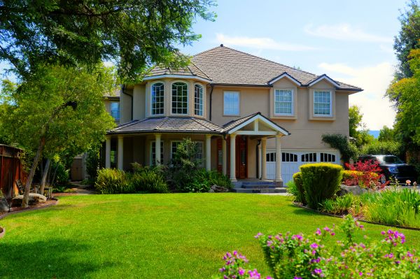 Large Yard Landscaping in Cape Coral
