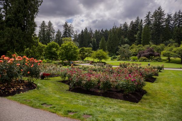 Flower Garden Landscaping in Cape Coral