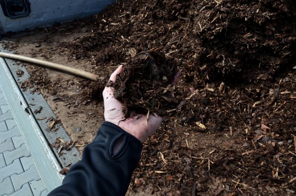 Condo Mulching in Cape Coral
