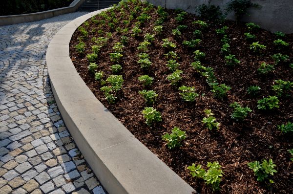 Commercial Mulching in Cape Coral